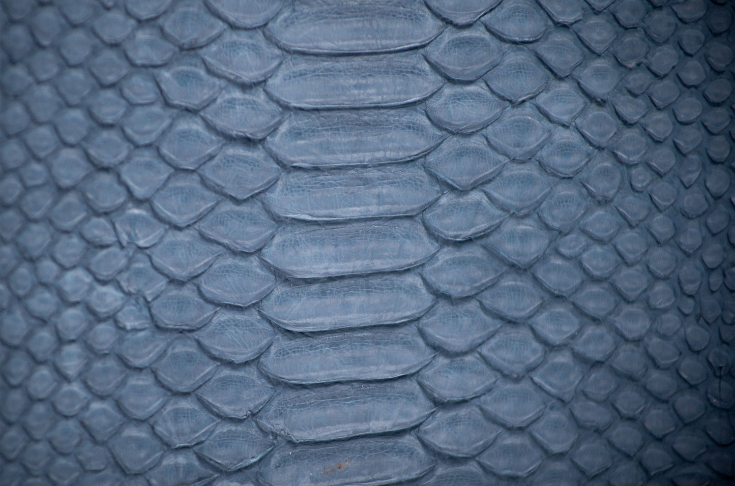 Neceser Alberto Serpiente Phiton Genuina blue