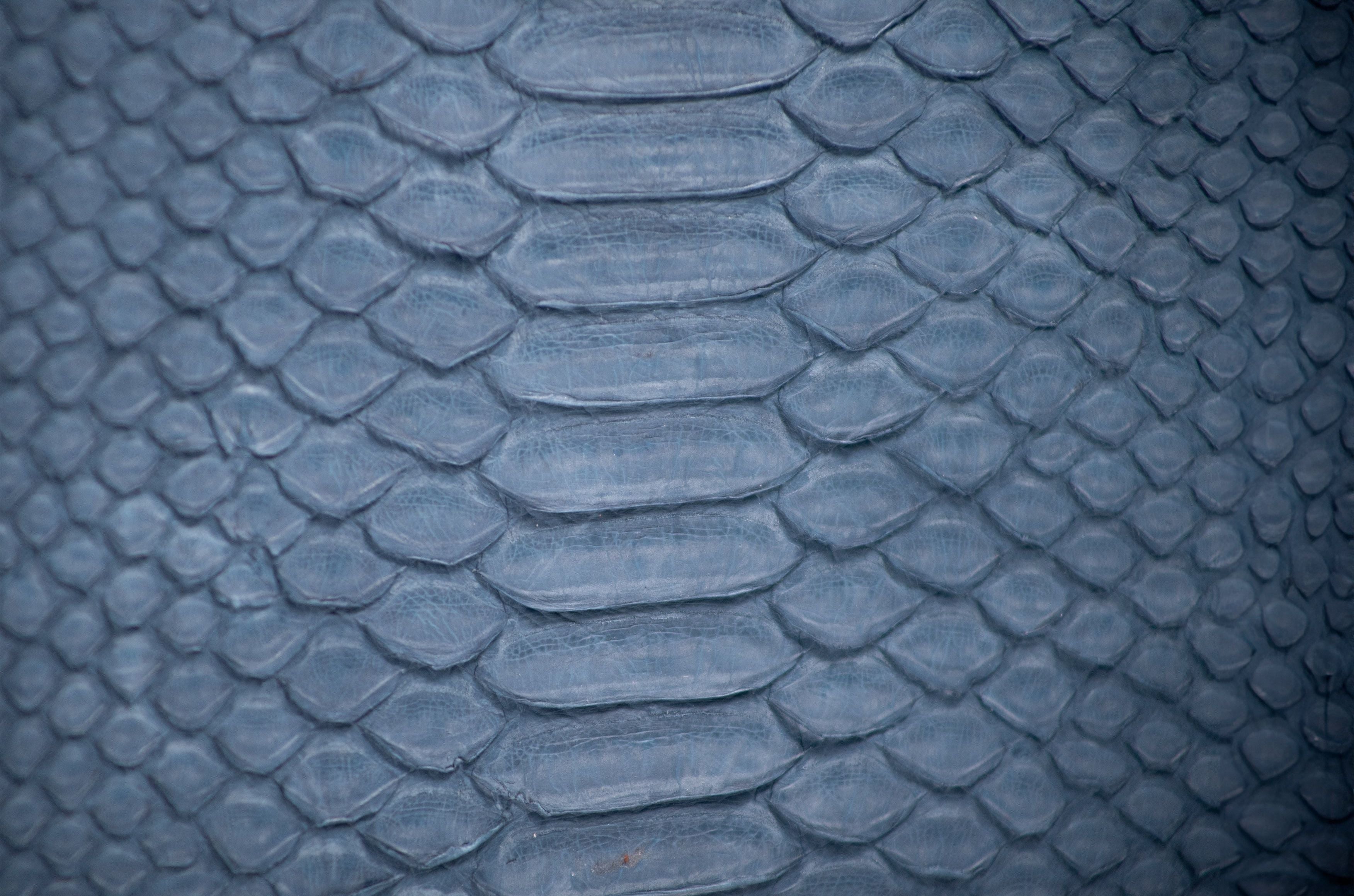 Neceser Alberto Serpiente Phiton Genuina blue